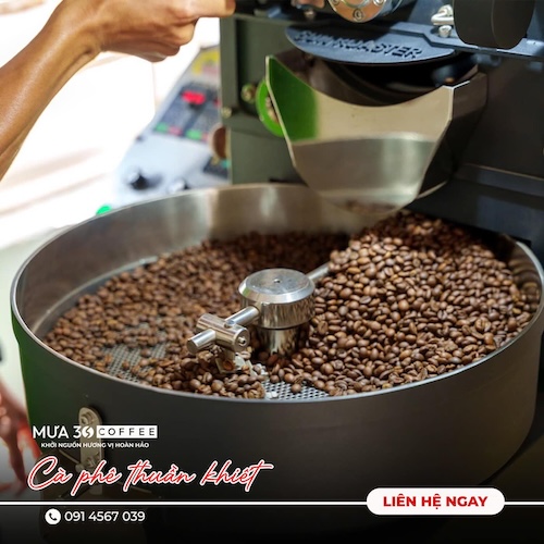 mô hình quán cà phê cao cấp