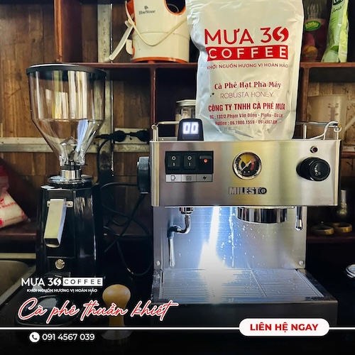 chất lượng cà phê