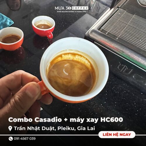 bảo dưỡng máy pha cà phê