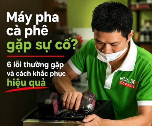 may-pha-ca-phe