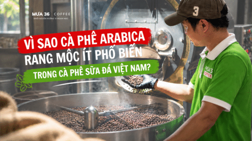 ca-phe-arabica-rang-moc-trong-ca-phe-sua-da