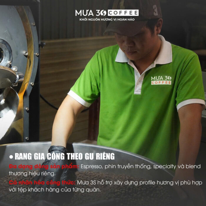 ca-phe-arabica-rang-moc-trong-ca-phe-sua-da