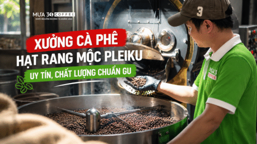 ca-phe-hat-rang-moc-pleiku