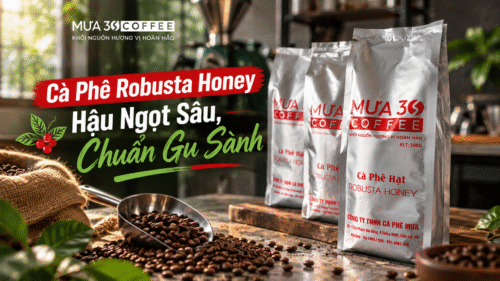 ca-phe-robusta-honey-hau-ngot-sau-chuan-gu-sanh