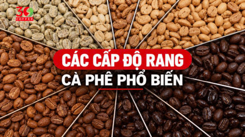 cac-cap-do-rang-ca-phe-pho-bien