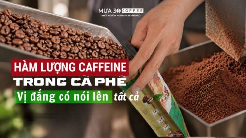 ham-luong-caffeine-trong-ca-phe
