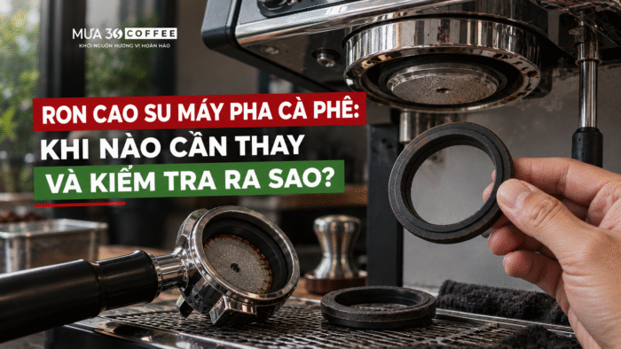 ron-cao-su-may-pha-ca-phe