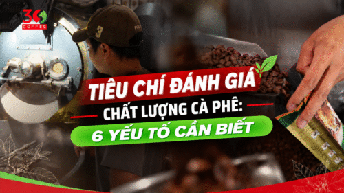 tieu-chi-danh-gia-chat-luong-ca-phe